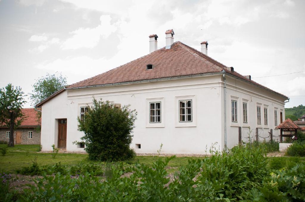 Transylvania Guesthouse image 2
