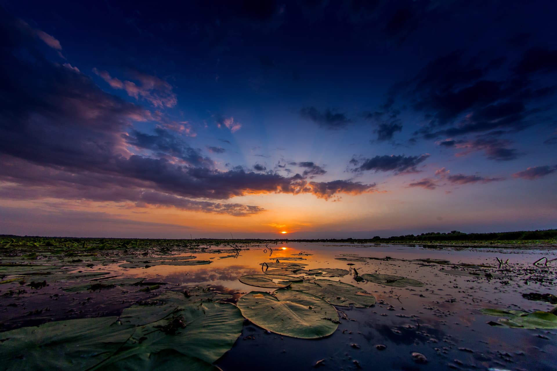 Sunset over water with lily pads reflecting dramatic dark blue and orange clouds in the Danube Delta.