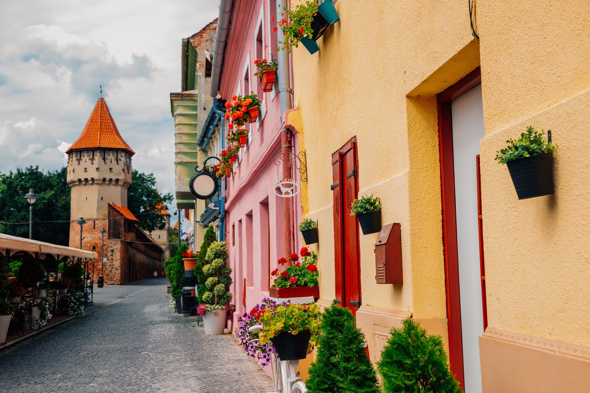 Cobblestone street leading to a medieval tower in Sibiu, Romania, lined with colorful buildings and flowers.