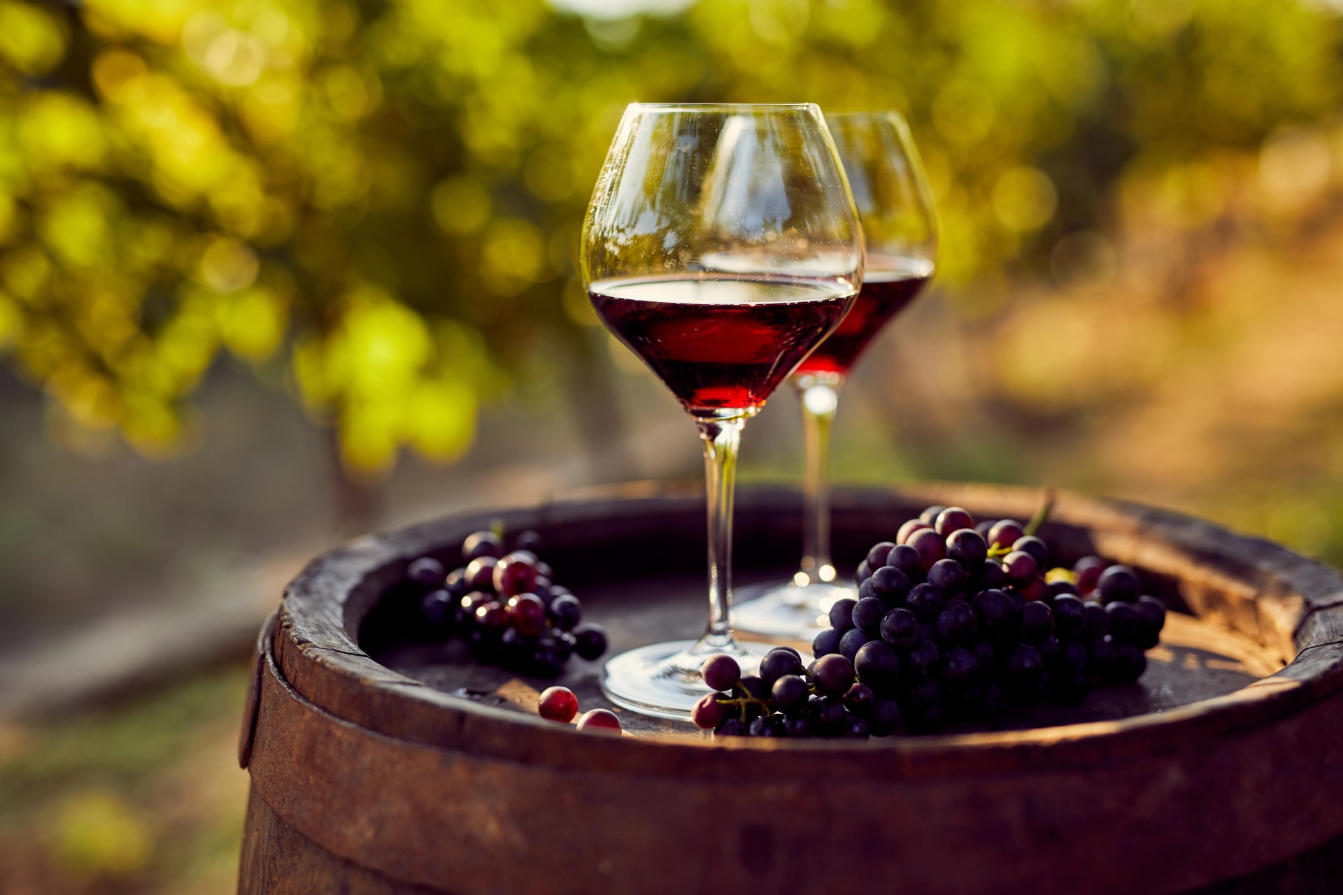 Wine tasting at a local winery