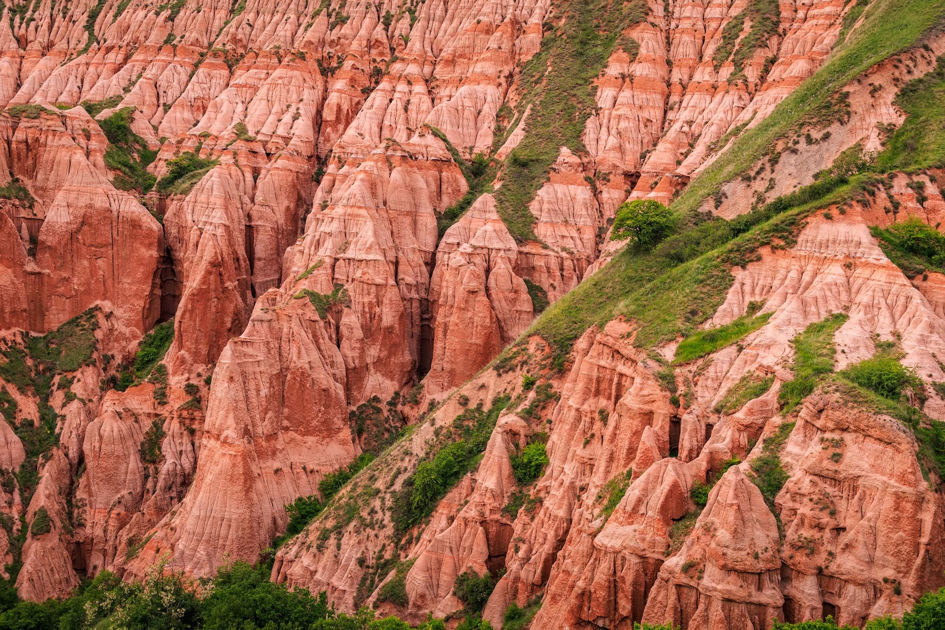 Eroded red rock formations with green vegetation at Rapa Rosie, Sebes, Romania.