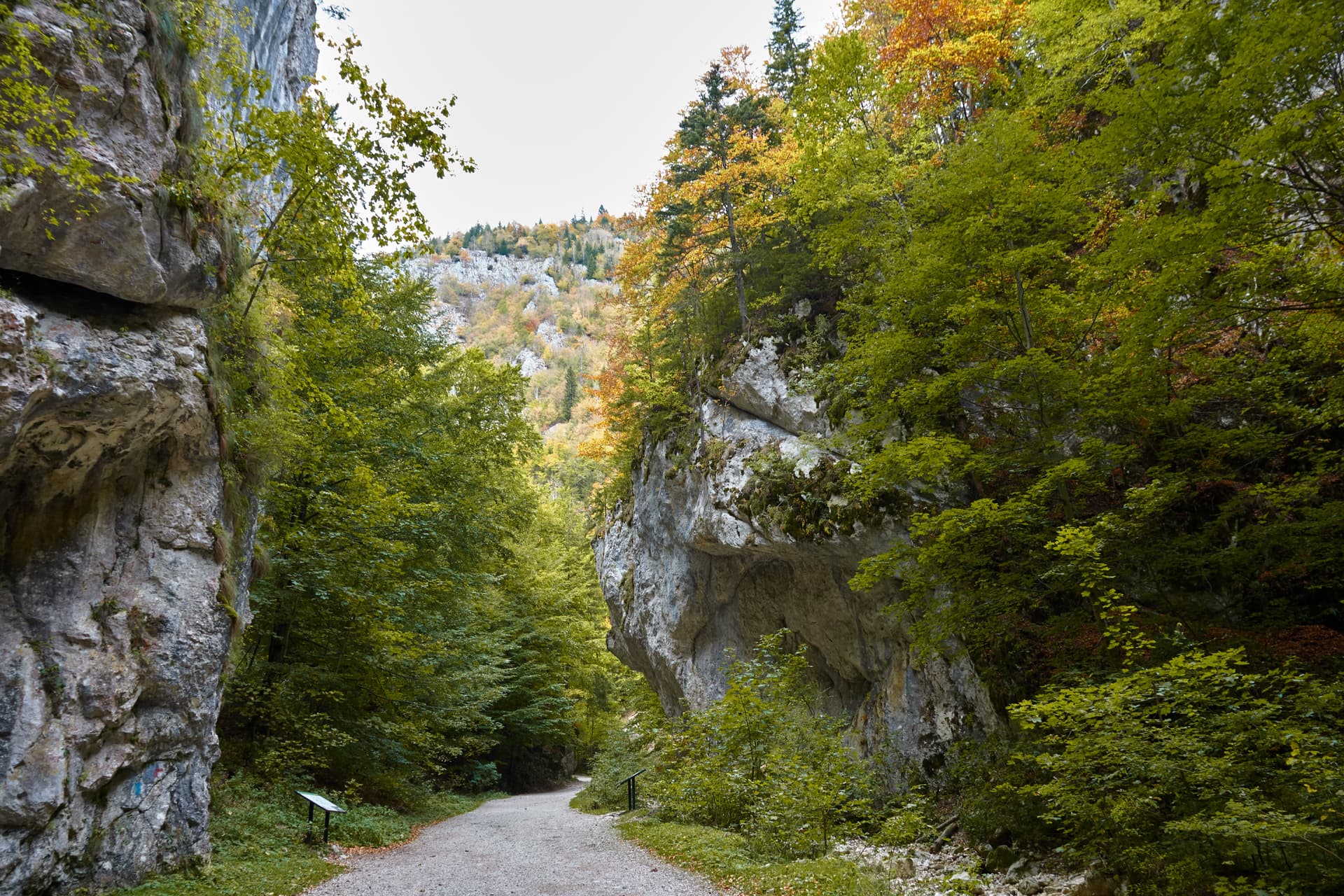Hiking path through Gorge Zarnestiului Prapastiei in Carpathian Mountains, Zarnesti, Romania.