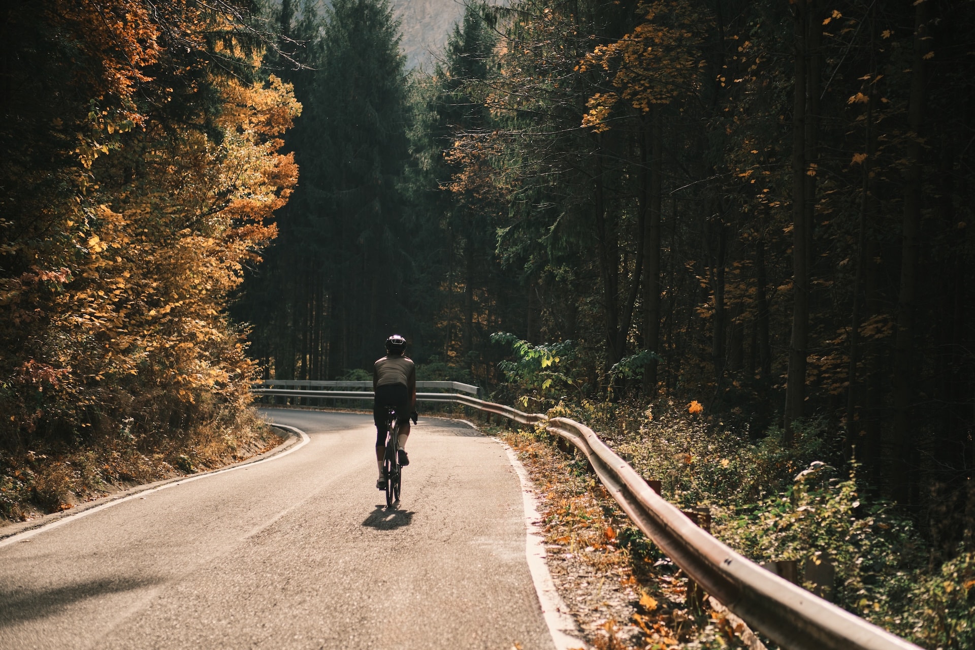Cycling Transylvania: Saxon Villages & UNESCO Cities